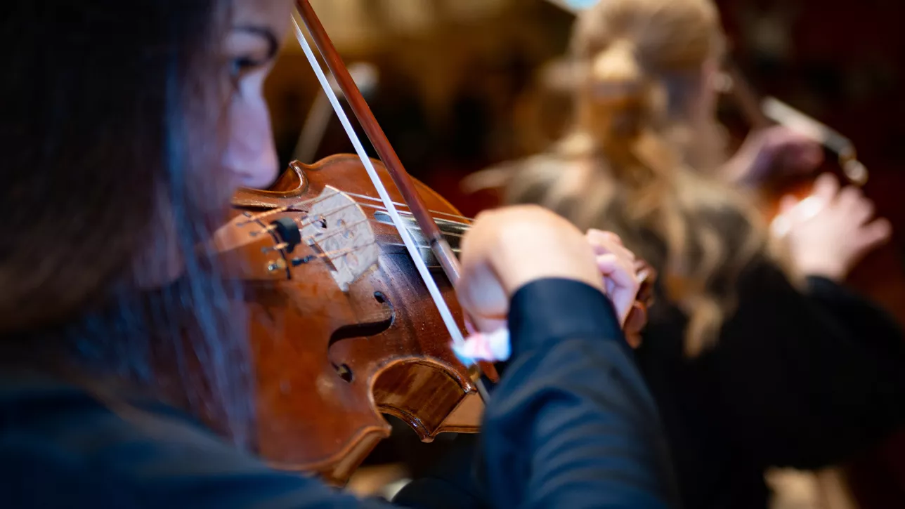 Student playing the violin. Photo.