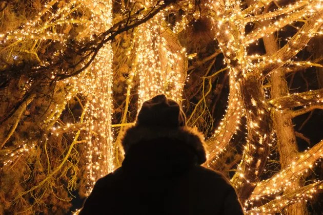 Mörk siluett av en person som tittar på ett träd smyckat med belysning. Foto.