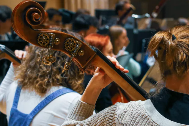 Kontrabas orkester