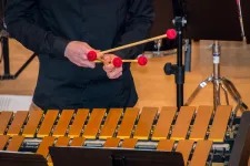 Slagverkare som spelar på marimba. Foto.